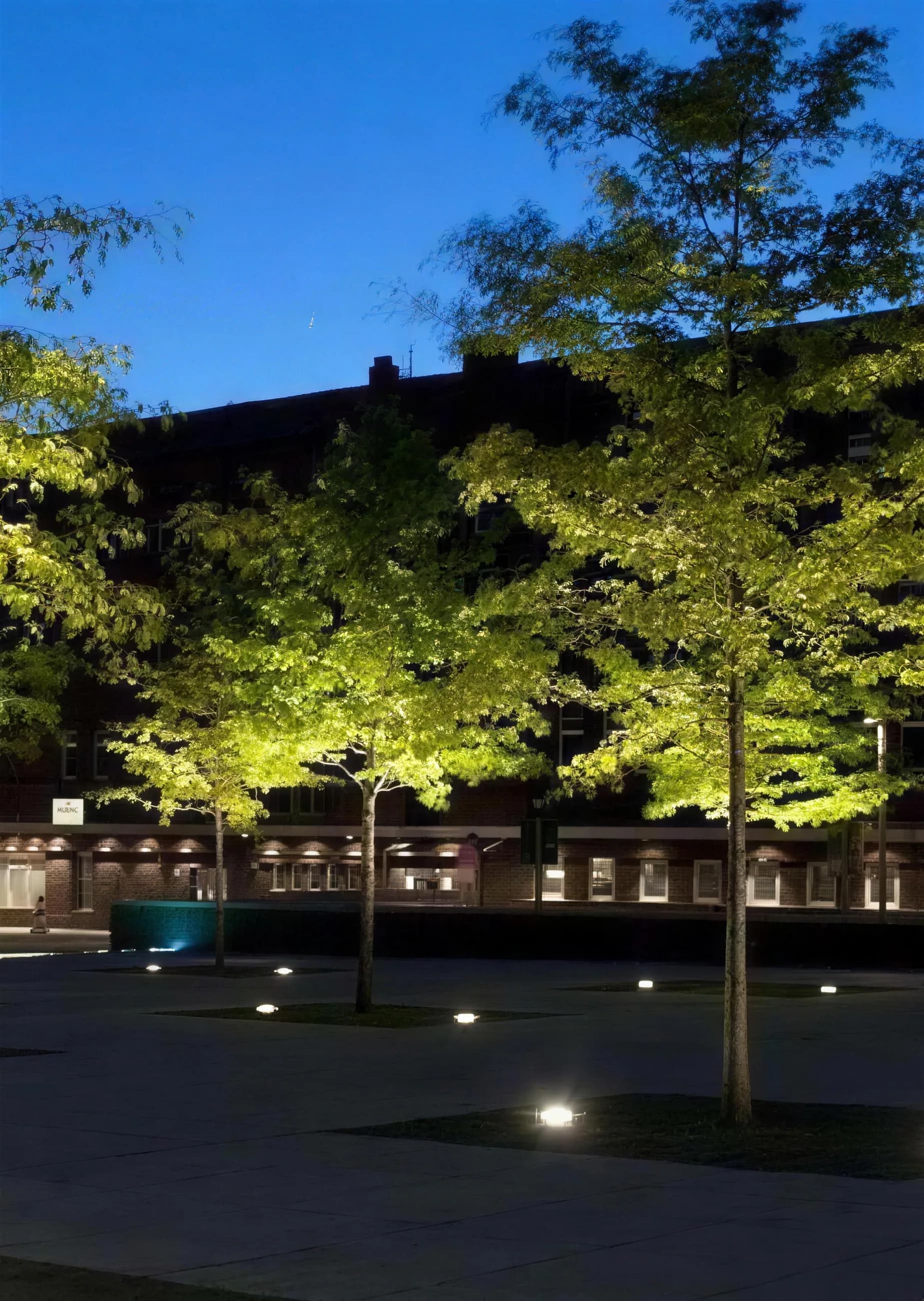 In-ground uplights washing a tree-lined civic plaza at dusk