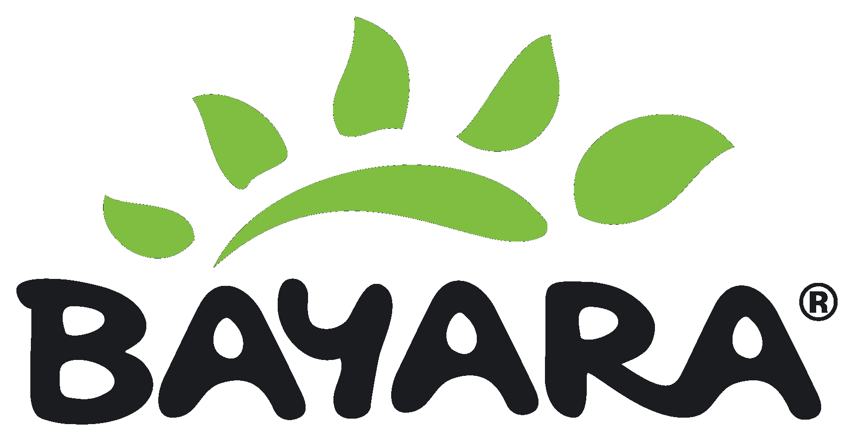 Bayara